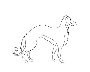 dog stands, lines, vector