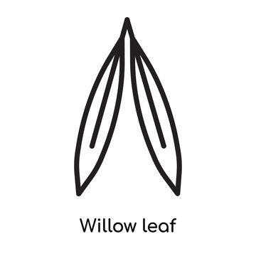 Willow leaf icon vector sign and symbol isolated on white background, Willow leaf logo concept