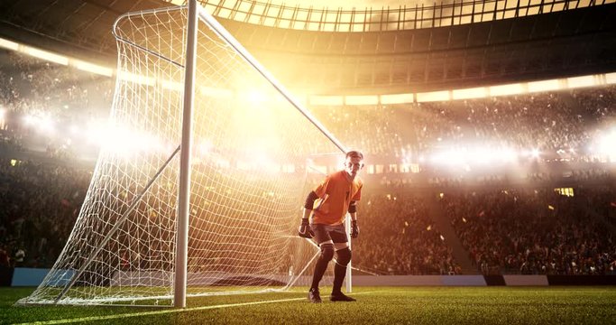 Attacker receives a pass and scores a goal on a professional soccer stadium while the sun shines. Stadium and crowd are made in 3D and animated.