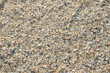 Textur, Zerbrochene Muscheln auf Sand