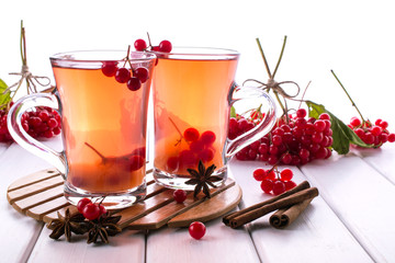 Fresh ripe organic viburnum berries  on white background. Ingredients for vitamin healthy  beverage