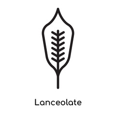 Lanceolate icon vector sign and symbol isolated on white background, Lanceolate logo concept