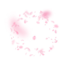 Sakura petals falling down. Romantic pink flowers frame. Flying petals on white square background. L