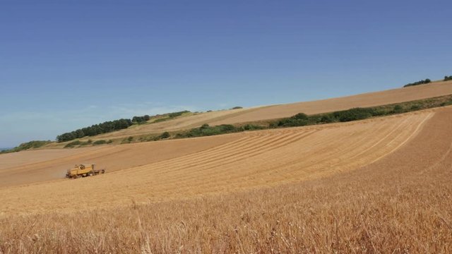 moisson du bl&eacute;