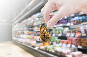 Hand holding cockroach in the supermarket,eliminate cockroach in shopping mall