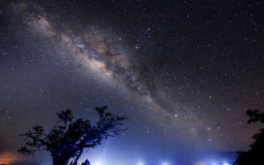 Fototapeta premium Starry night sky with stars and Milky Way Galaxy. soft focus and noise due to long expose and high iso.