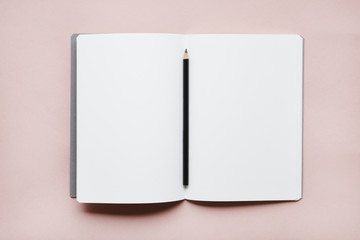 Pencil on open notebook