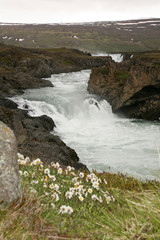 Gullfoss waterfall in Iceland