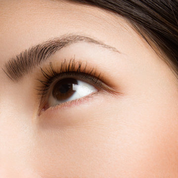 Female eye with long eyelashes closeup. Human eye. Brown eyes with accurate eyebrows. Easy make-up, ideal skin
