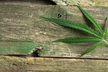 cannabis leaf on old wooden table