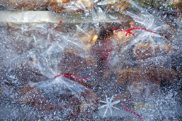 Christmas decoration, holiday symbol