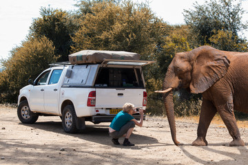 with smartphone on safari