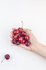 Fresh ripe cherry in a female hands