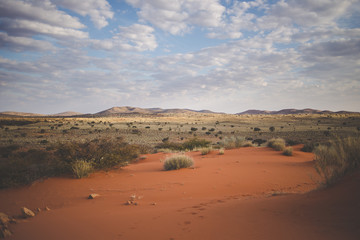 Panoramic landscape photo views over the kalahari region in South Africa - obrazy, fototapety, plakaty
