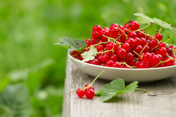 plate of red currant on wooden background