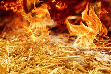 Feldbrand bei Dürre im Sommer, Trockenheit
