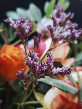 Processed with VSCO with j3 preset