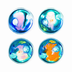 Fluid art in a petri dish. Colorful acrylic, ink, oil and watercolor marble paint splashes....