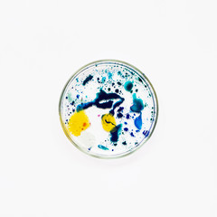 Fluid art in a petri dish. Colorful acrylic, ink, oil and watercolor marble paint splashes. Abstract fluid ocean of color or alien planet of liquid color.  Living colorful bacteria in a petri dish.
