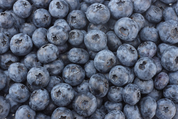 healthy background. blueberry texture. blueberries background. fruit background.