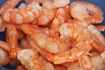 frische rohe garnelen