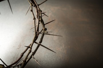 Closeup of the Crown of Thorns
