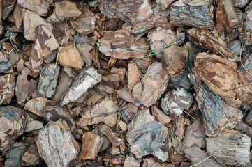 Covering the tracks of the park pine bark.