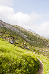 Sils, Furtschellas, Wanderweg, Val Fex,  Marmorè, Blumenweg, Alpen, Oberengadin, Graubünden, Sommer, Schweiz