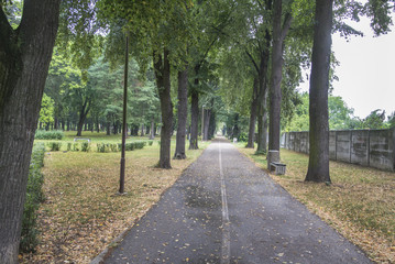 City park in the summer with bicycle lines