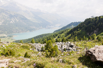 Sils, Silvaplanersee, Seenplatte, Silvaplana, Furtschellas, Wanderweg, Marmorè, Piz Julier, Alpen, Graubünden, Sommer, Schweiz
