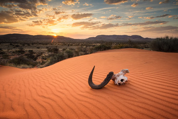 Panorama-Landschaftsfotoansichten über der Kalahari-Region in Südafrika