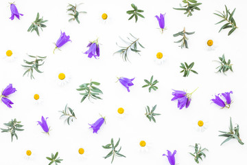 Flowers composition on white background, flat lay, top view