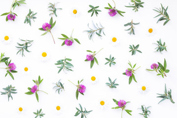 Fototapeta premium Flowers composition on white background, flat lay, top view
