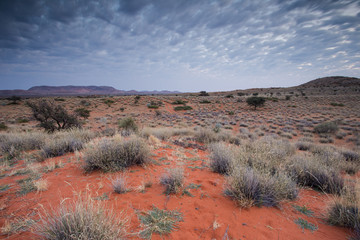 Panoramic landscape photo views over the kalahari region in South Africa