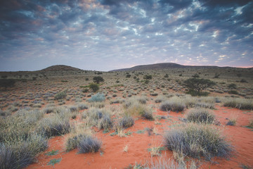 Panoramic landscape photo views over the kalahari region in South Africa