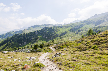 Sils, Val Fex, Fextal, Furtschellas, Seenplatte, Wanderweg, Marmorè, Blumenweg, Alpen, Oberengadin, Graubünden, Sommer, Schweiz