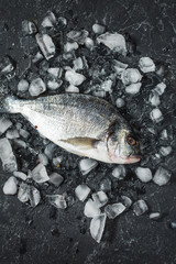 Raw fresh dorado on ice over dark stone background.