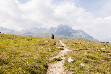 Fototapeta premium Sils, Val Fex, Fextal, Furtschellas, Silsersee, Seenplatte, Wanderweg, Marmorè, Blumenweg, Alpen, Oberengadin, Graubünden, Sommer, Schweiz