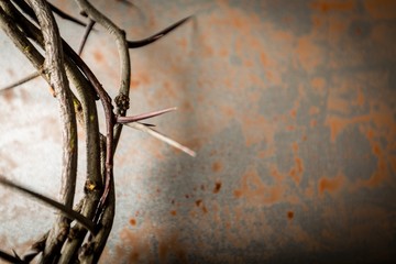 Closeup of a Crown of Thorns