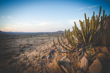 Panoramic landscape photo views over the kalahari region in South Africa