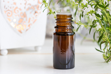 A bottle of mountain savory essential oil with fresh Satureja montana