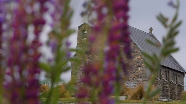 Looking through the flowers at the Church Of The Good Shepherd, Lake Tekapo, New Zealand