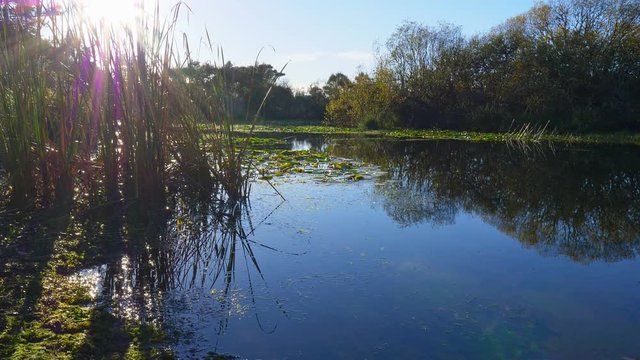 Lake Whakamaru near Tokoroa in New Zealand is a popular lake to fly fish for trout