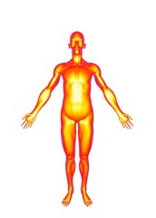 3d illustration of human skin body