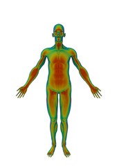 3d illustration of human skin body