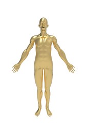 3d illustration of human skin body