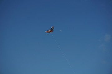 Kite And Moon