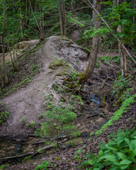 A small river deep in the forests of Latvia. Hill country.