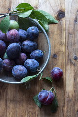 piled a lot of juicy blue plums in a colander