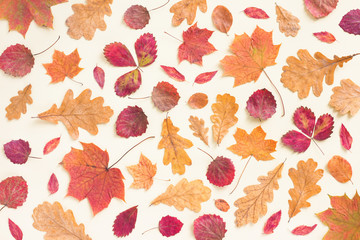 Autumn leaves on beige background. Flat lay, top view